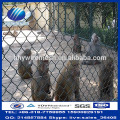 Wholesale Cheap Galvanized PVC Chain Link Fence for Animal Fence Zoo Mesh (Manufacturer)